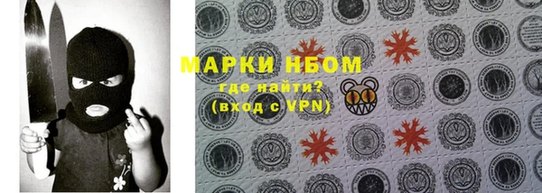 PSILOCYBIN Балабаново