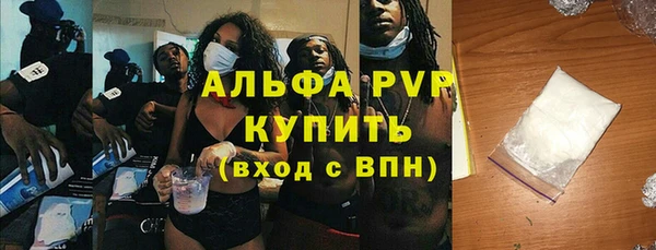 PSILOCYBIN Балабаново