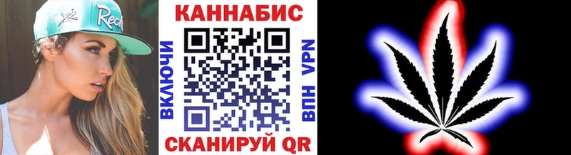 Каннабис планчик где купить Шагонар